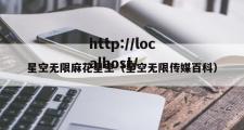 星空无限麻花星空（星空无限传媒百科）